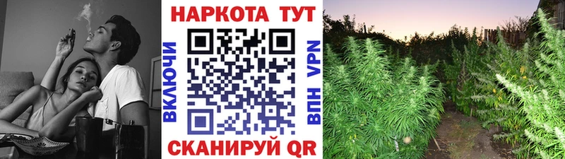 Купить Трубчевск A PVP  НБОМе  блэк спрут ССЫЛКА  ГАШИШ  Амфетамин  COCAIN  Бошки Шишки  Меф 