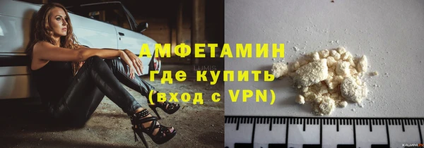 сатива Богданович