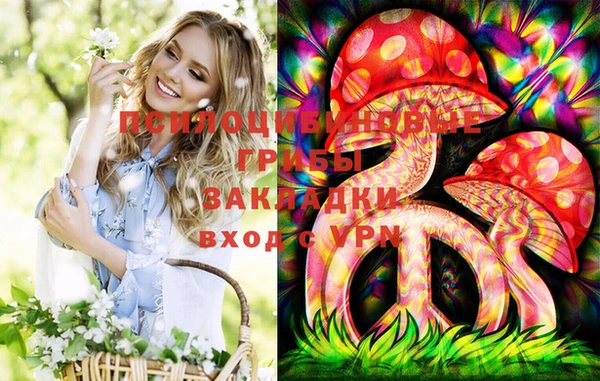 сатива Богданович