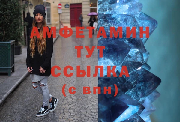 сатива Богданович