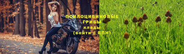мефедрон Богородицк